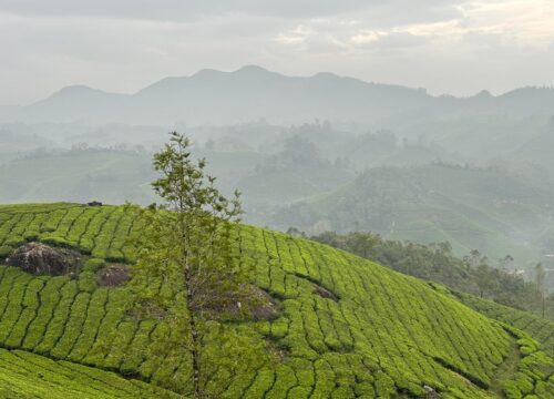 Letchmi Hills Trekking - 1500₹ Per head