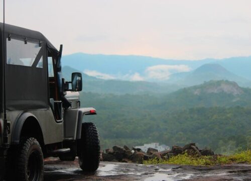 Best Munnar Jeep Safari & Anakulam Elephant Tour: Complete 2026 Guide